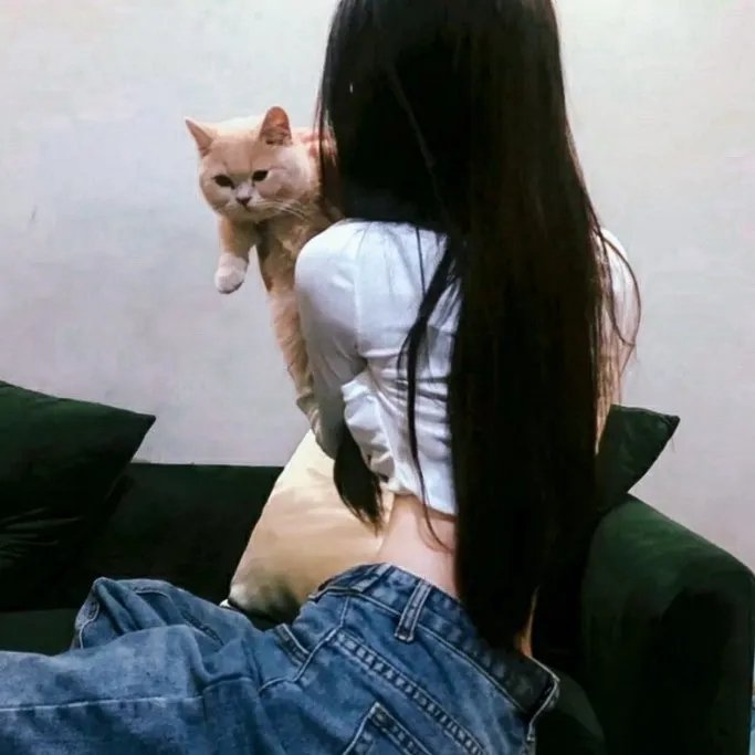 飞鹰艾迪